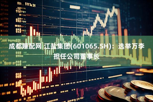成都赚配网 江盐集团(601065.SH)：选举万李担任公司董事长