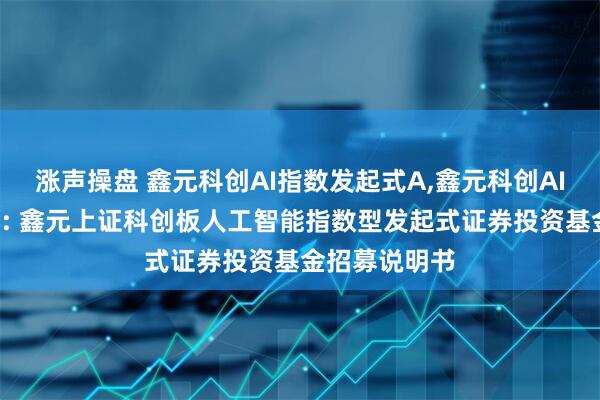 涨声操盘 鑫元科创AI指数发起式A,鑫元科创AI指数发起式C: 鑫元上证科创板人工智能指数型发起式证券投资基金招募说明书