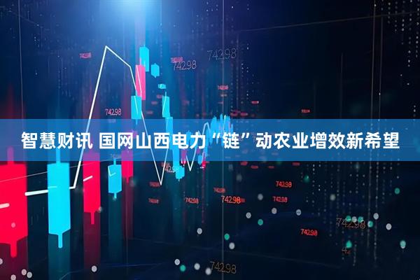 智慧财讯 国网山西电力“链”动农业增效新希望