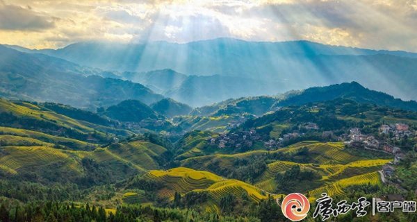 武汉世牛 揽收5.4亿元！桂林龙胜长假接待游客量达59万人次