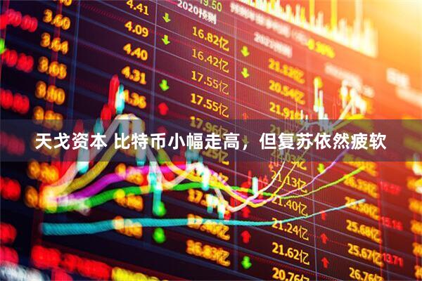 天戈资本 比特币小幅走高，但复苏依然疲软