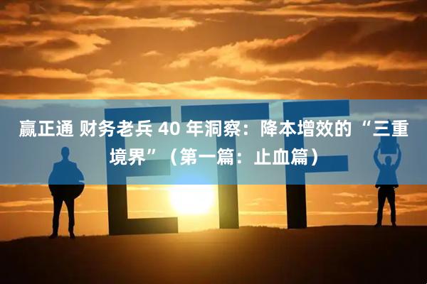 赢正通 财务老兵 40 年洞察：降本增效的 “三重境界”（第一篇：止血篇）