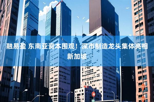 融易盈 东南亚资本围观！深市制造龙头集体亮相新加坡